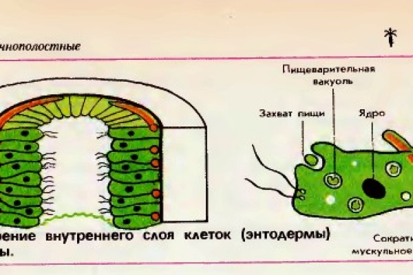 Вход кракен