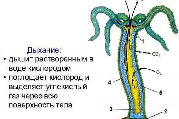 Кракен войти