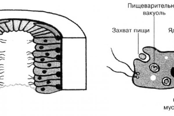 Kraken ссылка kraken clear com