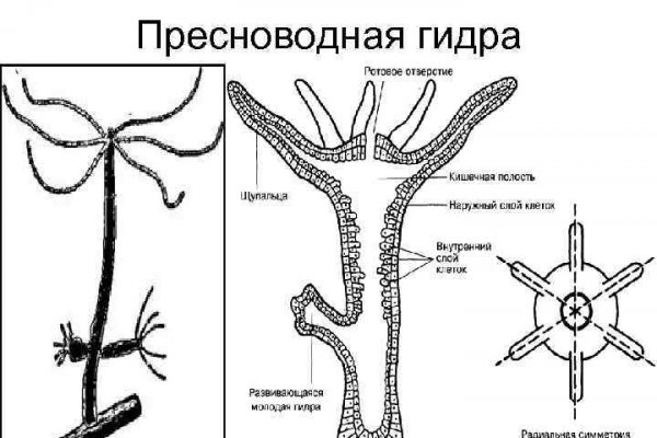 Кракен площадка vk2 top